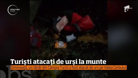 Turiști atacați de urși la munte