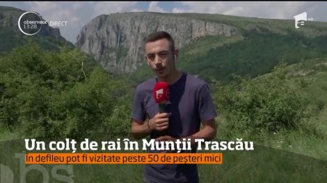 Un colț de rai în Munții Trascău