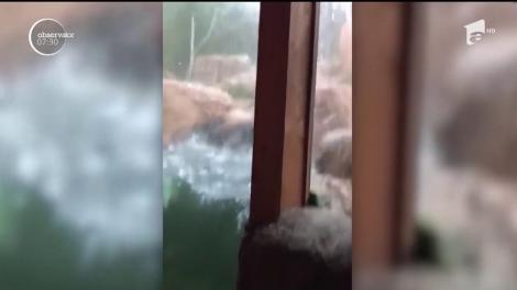 În Colorado, grindina deosebit de violentă a făcut victime şi pagube considerabile la o grădină zoologică