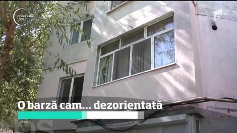 O barză de doar câteva luni, care s-a rătăcit în Brăila, a fost invitată de o bătrână în scara unui bloc până la sosirea unui medic veterinar