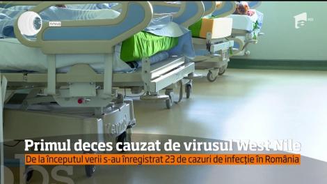 Virusul West Nile a cauzat primul deces în România