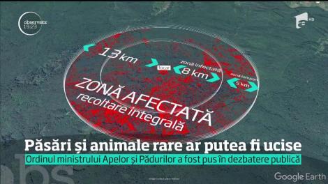 România, în pragul unor dezechilibre naturale