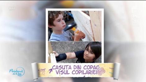 Casuţa din copac - visul tuturor copiiilor