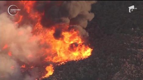 Poliţia din California a arestat un individ suspectat că a declanşat unul dintre uriaşele incendii de pădure din statul american