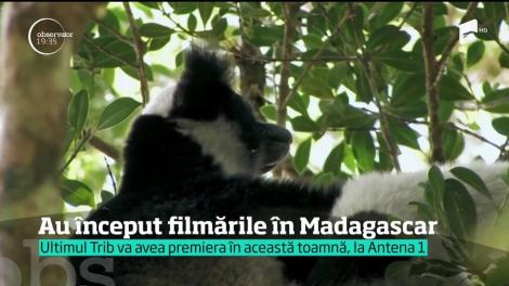 A început AVENTURA! Concurenții din emisiunea „Ultimul Trib”, întâmpinați de BĂȘTINAȘII din Madagascar!