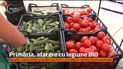 Primăria din Târgu Mureş, afacere cu legume BIO