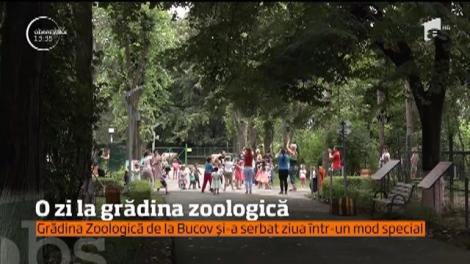 Sute de oameni au luat cu grădina zoologică de lângă Ploieşti