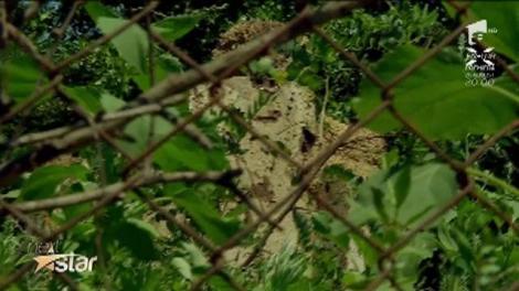 Emanuel Bojian, copilul erou de la Vutcani!