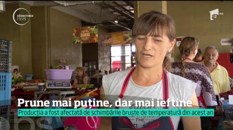 Anul acesta, vom avea mai puţine prune româneşti pe tarabe. Cauza este vremea atipică de până acum