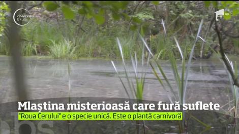 Locul misterios pe care românii îl ocolesc, Aici se află mlaștina care FURĂ SUFLETE!