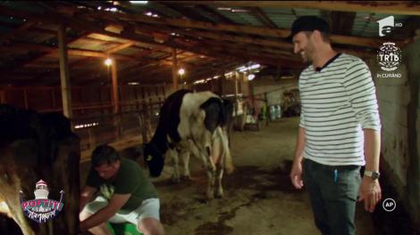 Nicolai Tand și Cătălin Oprișan au ajuns la coda vacii!