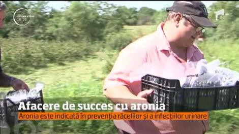 Un tânăr din Mureş face agricultură cu aronia