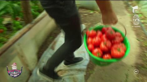 Uite de ce muncește Tand! Nicolai cel harnic, năpădit de amintiri din copilărie!