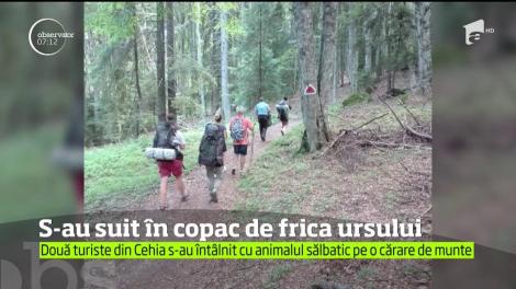 Două turiste din Republica Cehă au trăit pe pielea lor aventura României sălbatice