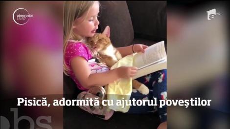 E nebunie pe net! Ce face o fetiță pe bancheta din spate? Clipul a devenit VIRAL