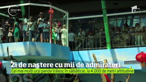 Ziua de naştere a unui urs panda a devenit un eveniment de senzaţie la o grădină zoologică din China