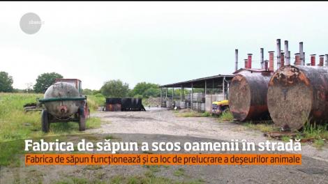 Protest împotriva poluării în judeţul Sălaj