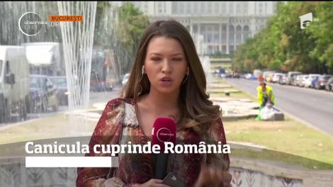 E mijlocul lunii august, iar temperaturile caniculare nu ne miră