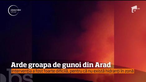Este alertă în Arad după ce un puternic incendiu a izbugnit la groapa de gunoi de la marginea oraşului
