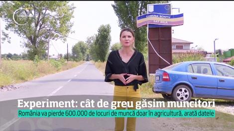 Lovitură dură pentru piaţa muncii! Sute de mii de locuri de muncă vor dispărea în următorii ani