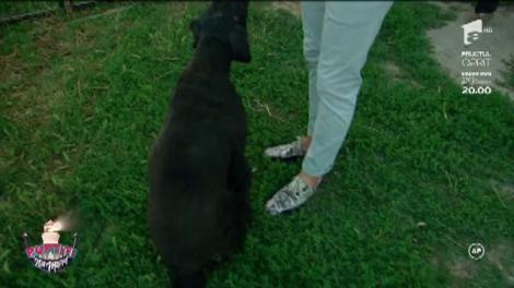 Praștia lui Nea Marin face din nou victime. Liviu: „Mâine dimineață te împușc, nebunule”