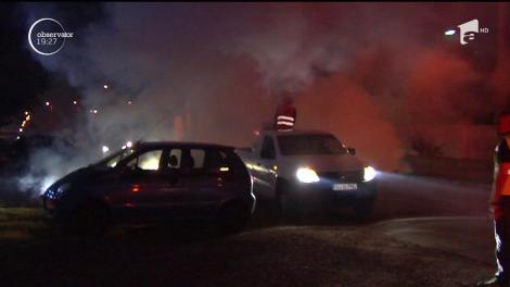 Lupta cu insectele, în Capitală, pare fără sfârşit. Țânţarii şi tigrii de platan par imposibil de stârpit