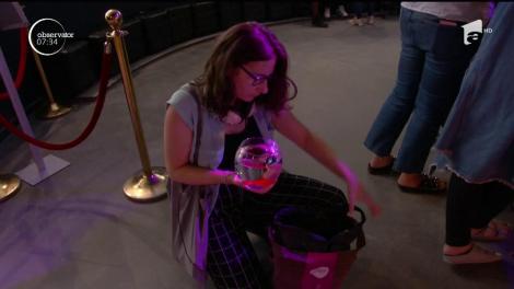 Nu numai câinii sunt abandonaţi. La Paris funcţionează un azil pentru peştişorii de acvariu