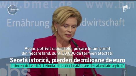Temperaturile record din această vară au provocat în Europa cea mai gravă secetă din ultimii 40 de ani!