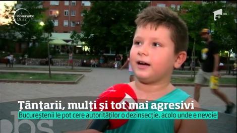 Alertă &icirc;n Capitală şi &icirc;n 16 judeţe din cauza virusului West Nile