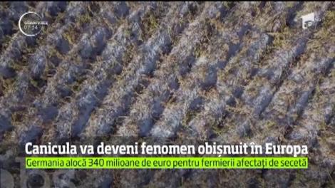 Canicula va deveni fenomen obișnuit &icirc;n Europa