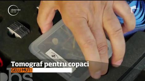 Tomograf pentru copaci