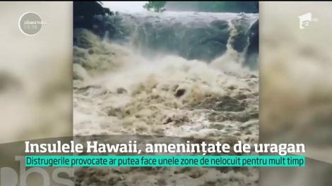 După ce a fost p&acirc;rjolit de lavă, paradisul din Hawaii riscă acum să se scufunde. Un uragan ameninţă faimoasa insulă, cu valuri de şase metri &icirc;nălţime