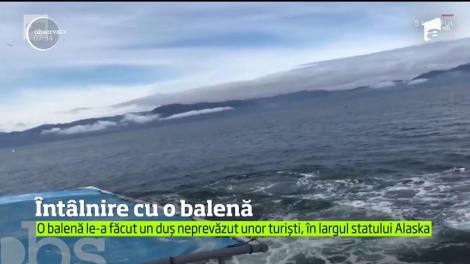 &Icirc;nt&acirc;lnire cu o balenă