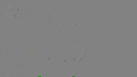 Pl&acirc;ngeri bizare la Primărie