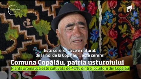 Comuna Copălău, patria usturoiului