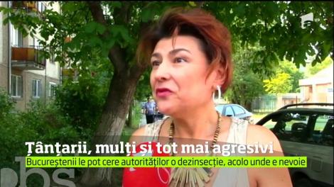 Șase rom&acirc;ni uciși de West Nile