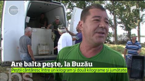 Veşti bune pentru pescarii din Buzău! Bălţile din judeţ sunt pline ochi cu crapi