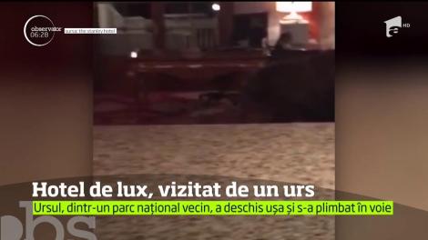 Un hotel de lux din statul american Colorado a avut un oaspete mai puţin obişnuit: un urs negru, se pare, foarte exigent