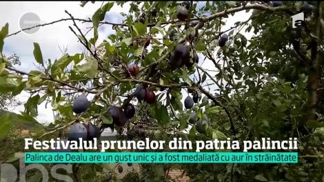 Festivalul prunelor din patria palincii