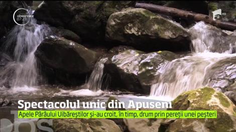 Spectacol inedit al naturii, în nordul judeţului Hunedoara