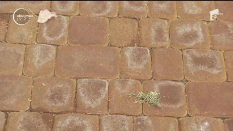 Parc nou, dar cu aspect de vechi, în Timișoara