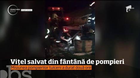 Misiune de salvare inedită pentru pompierii din Tulcea. Au scos un viţel dintr-o fântână adâncă de zece metri