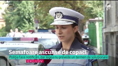 Copacii de pe marginea străzii pun în pericol circulaţia rutieră. Netoaletaţi, acoperă semafoare şi indicatoare