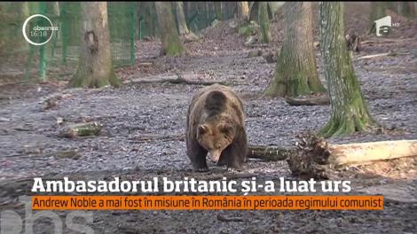 Noul ambasador britanic la Bucureşti, Andrew Noble, a anunţat că a adoptat un urs din rezervaţia Zărneşti