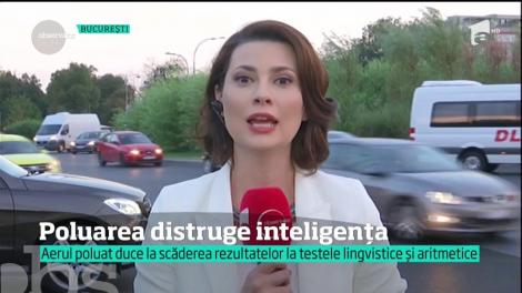 Poluarea nu distruge doar planeta, ci şi inteligenţa, arată un nou studiu îngrijorător! Creierul e afectat de aerul toxic