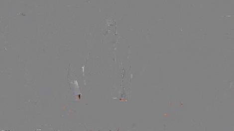 Famila Prietenilor de la 11 îl serbează pe Florin Ristei