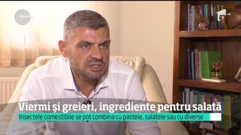 Viermi și greieri, ingrediente pentru salată