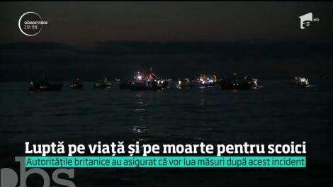 Luptă pe viață și pe moarte pentru scoici, între francezi și britanici