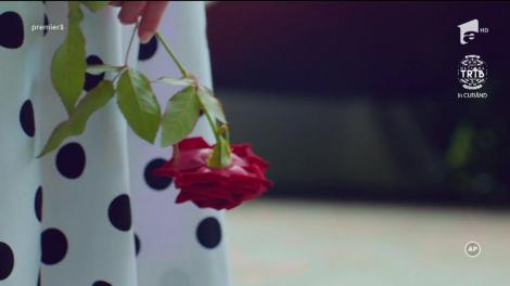 FRUCTUL OPRIT ONLINE. Povestea s-a schimbat complet! Sonia își face apariția la casa în care stau Alex și Ana!