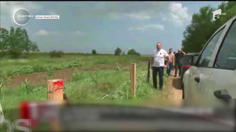 Bulgaria a ridicat gard contra mistreților